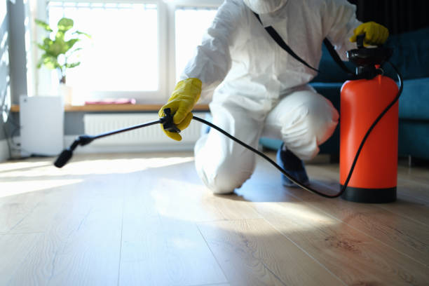 Reliable Odor Removal contractor in Loomis, CA by Trauma Clean Pros